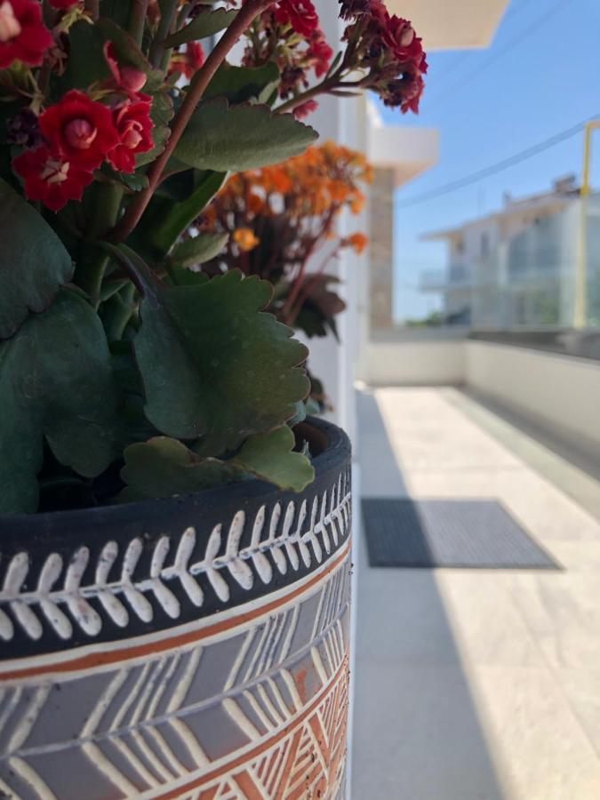 Apartament Oliva